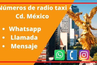 números de radio taxi leyes de reforma